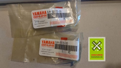 IMG_20231215_110804